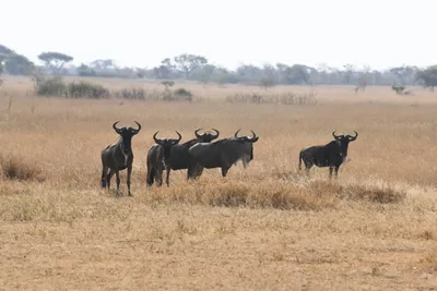 DSC_3389 (Large).JPG